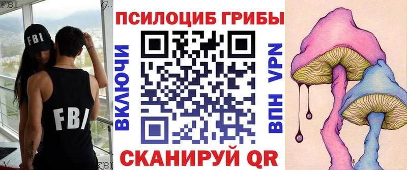 Купить где  Соль-Илецк  Галлюциногенные грибы ЛСД 