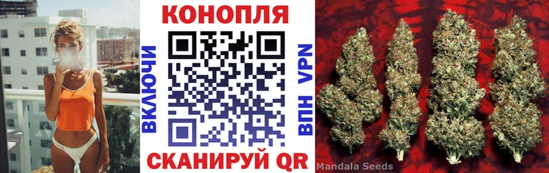 Купить закладки  Соль-Илецк  Бошки марихуана White Widow 
